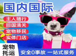 兰州空运国际宠物托运 【国